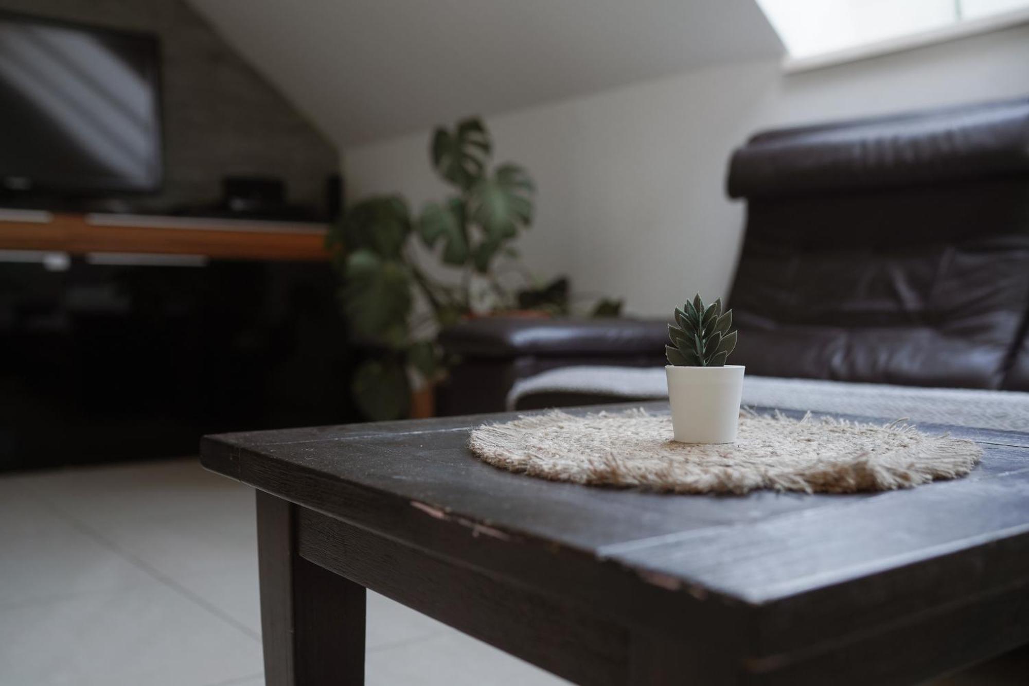 Apartments Unite 博希尼 外观 照片